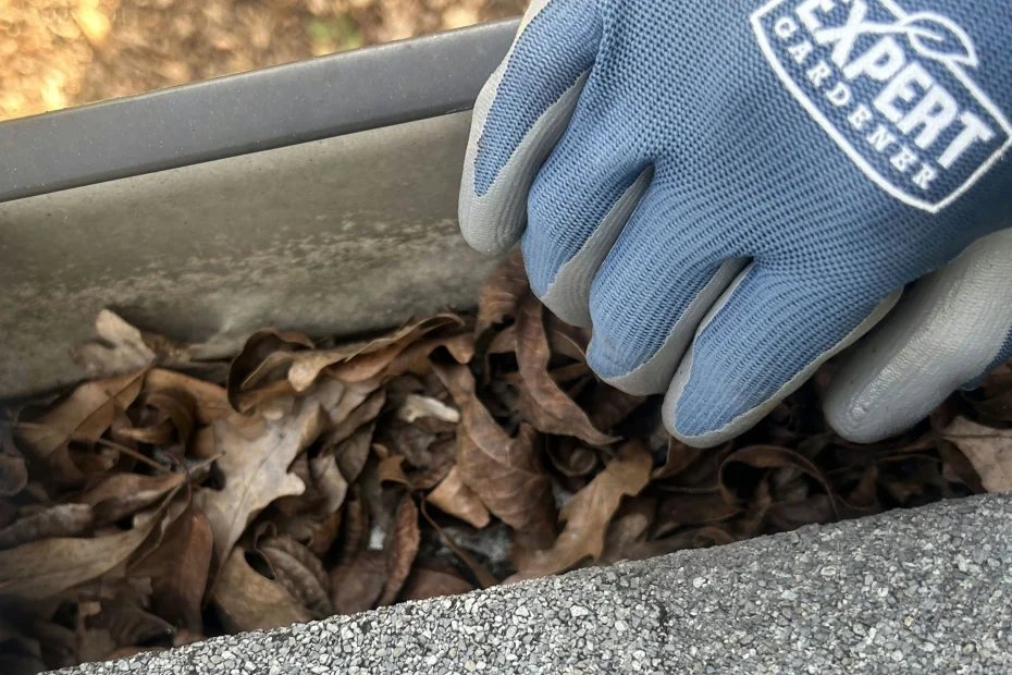Kennesaw Gutter Cleaning