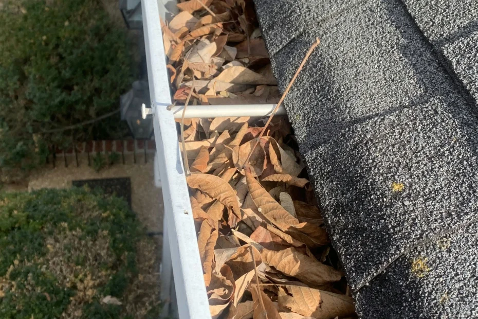 Kennesaw Gutter Cleaning