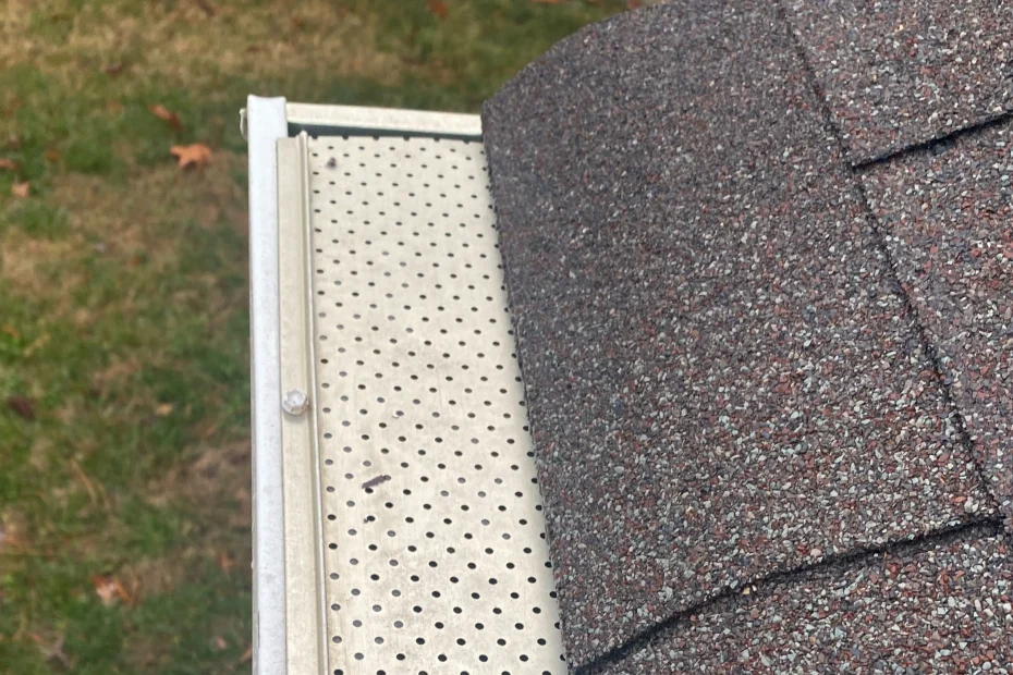 Kennesaw Gutter Cleaning